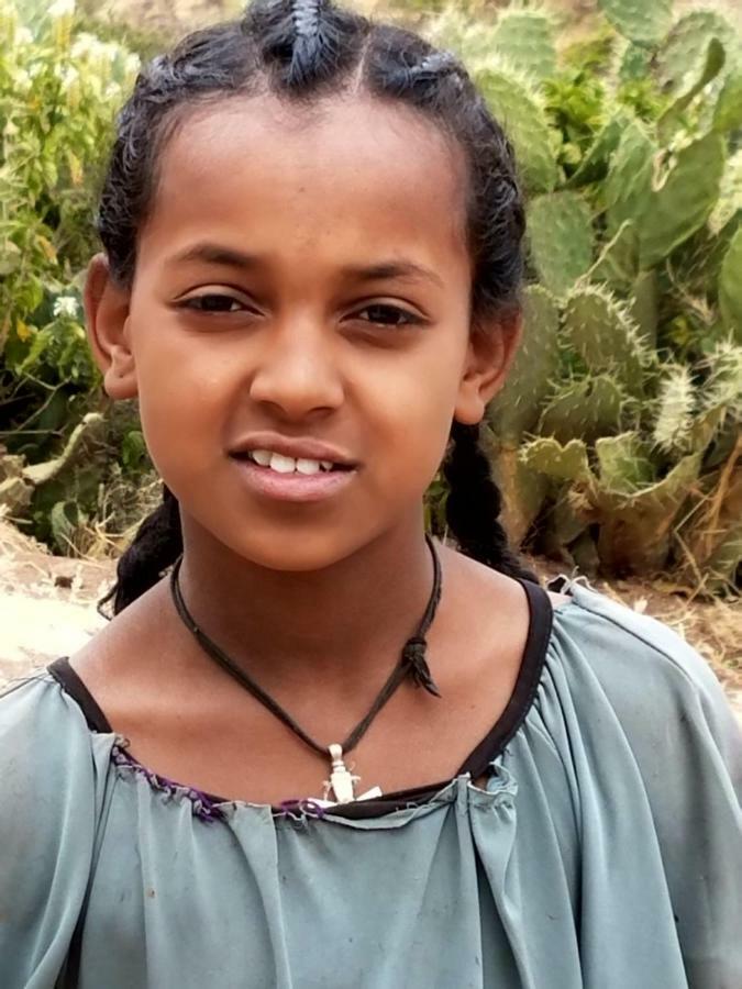 Zan-Seyoum Hotel Лалибэла Экстерьер фото